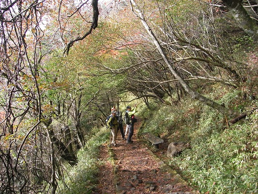 f0187402_2092365.jpg