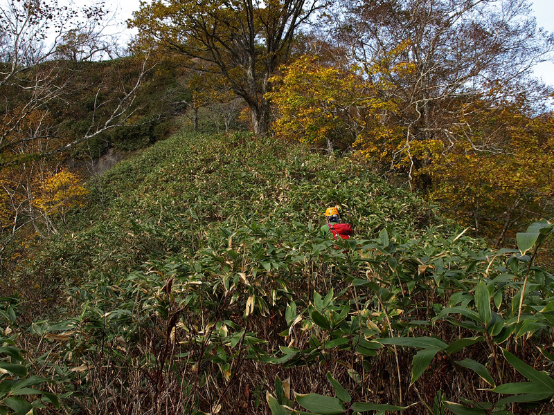 知布志内山　　2013.10.20_f0200402_22325535.jpg