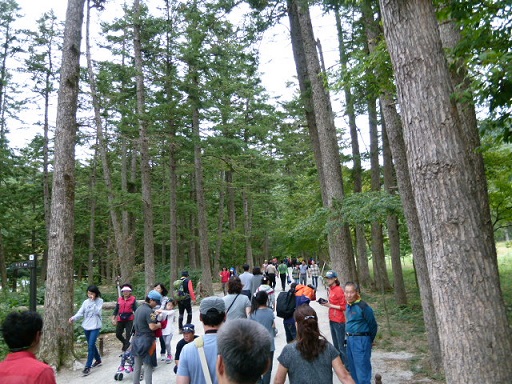 a0140305_2584665.jpg