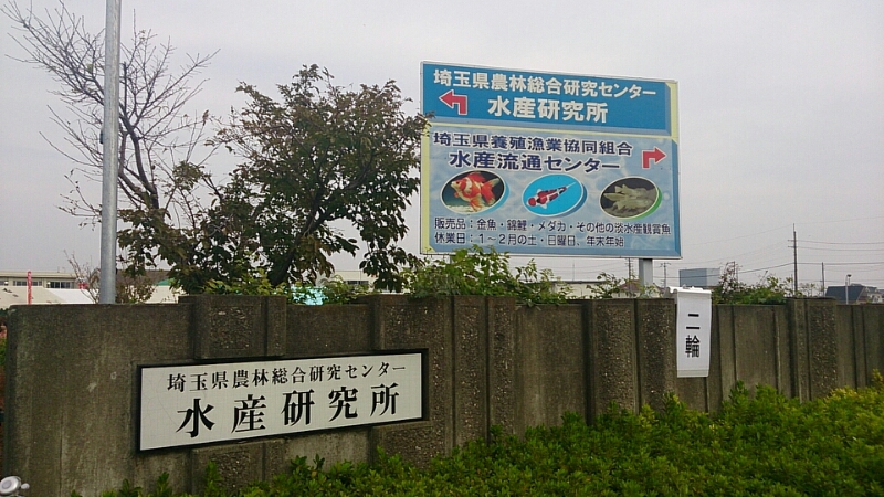 b0298605_18575743.jpg