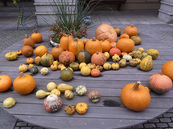 c0093205_1134345.jpg