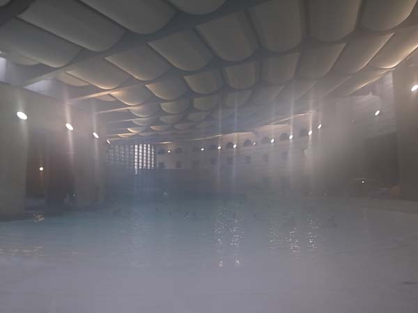 c0093205_1144862.jpg
