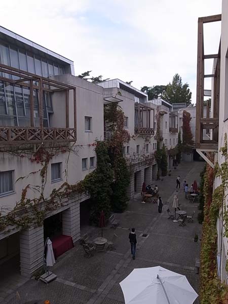 c0093205_1151332.jpg