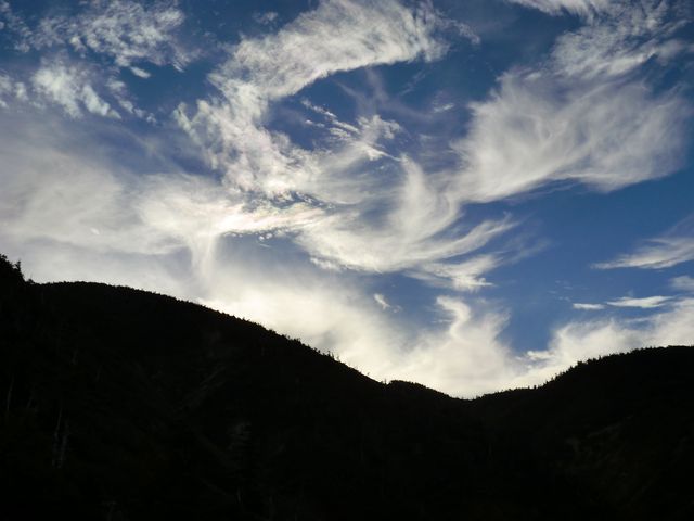 d0159609_10173144.jpg