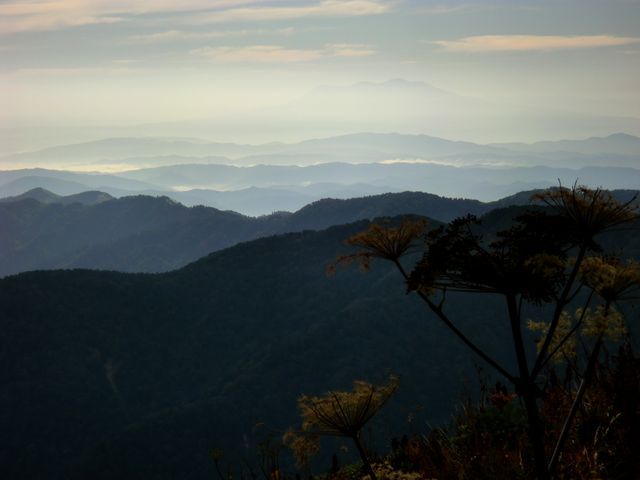 d0159609_1018586.jpg
