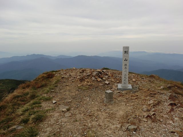 d0159609_1020650.jpg