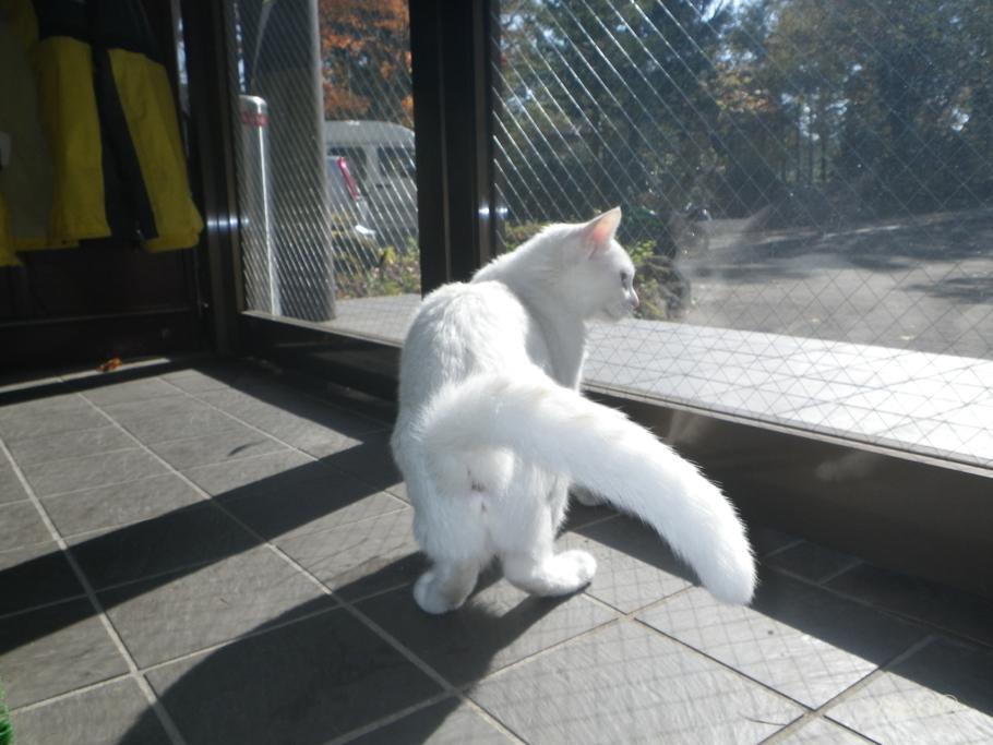 山登り?_f0141609_9163168.jpg