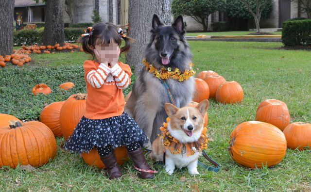 Pumpkin Patch、おかわりのおかわり_f0227709_14474486.jpg