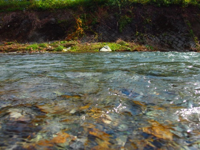 b0301412_22315416.jpg