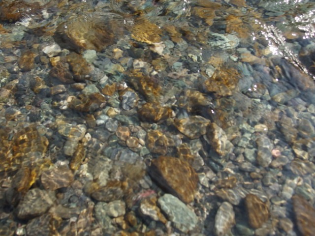b0301412_2233791.jpg