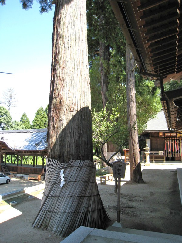 d0287413_1618737.jpg