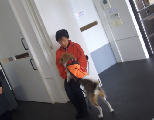 手話サークルの旅行で聴導犬の訓練センターに行ってみました。_e0033713_10294240.jpg