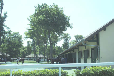 d0063314_113098.jpg