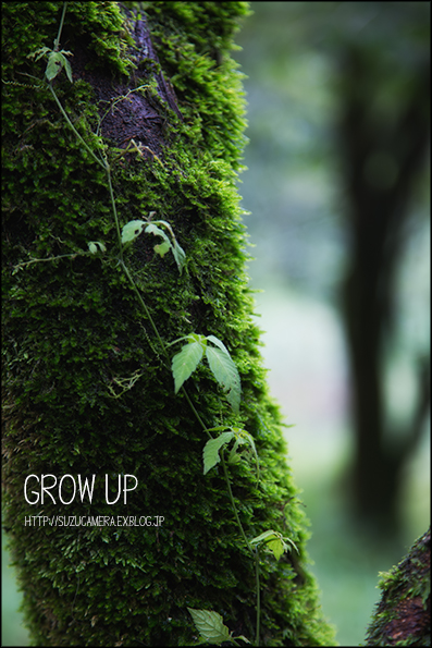 Grow Up!_f0100215_1955282.jpg