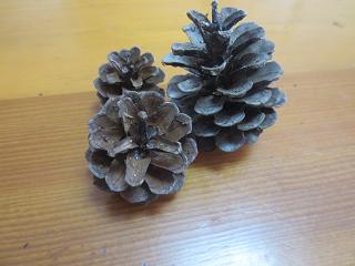 f0248616_114396.jpg