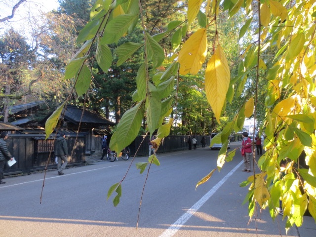 f0248616_21492431.jpg