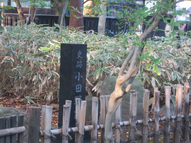 f0248616_21515577.jpg