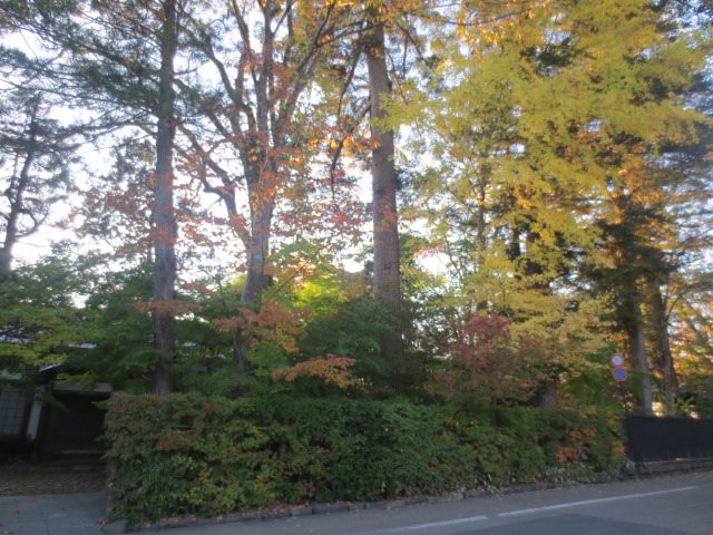f0248616_2152428.jpg