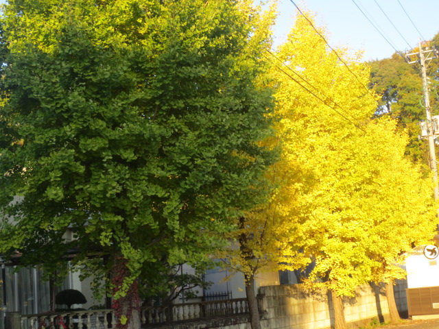 f0248616_2154318.jpg