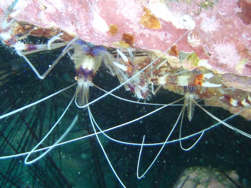 c0115421_22404143.jpg
