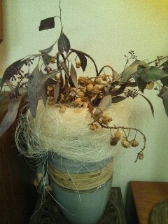 気持ちの余裕・・・♪11/4①_b0247223_16542690.jpg