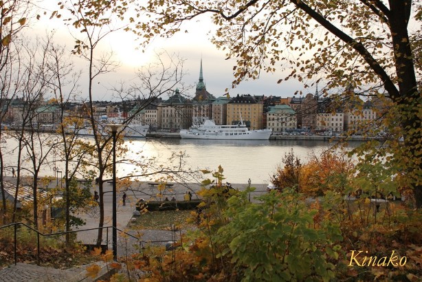 e0250023_5372713.jpg