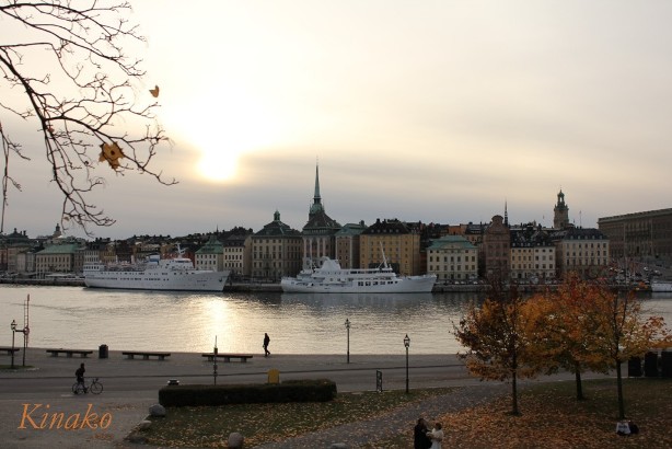 e0250023_538144.jpg
