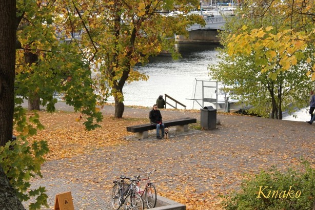e0250023_538329.jpg