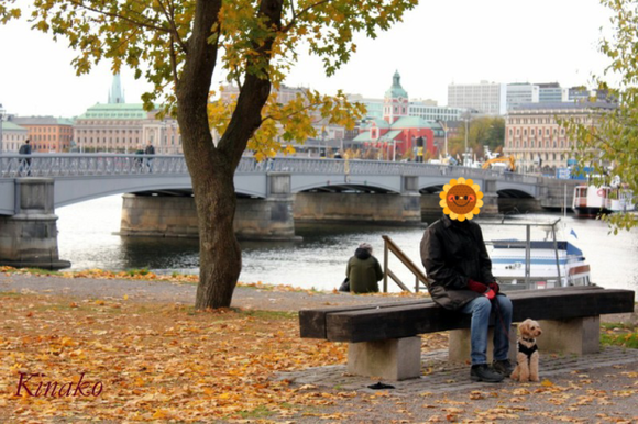 e0250023_53998.png