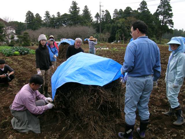 f0018424_7552985.jpg