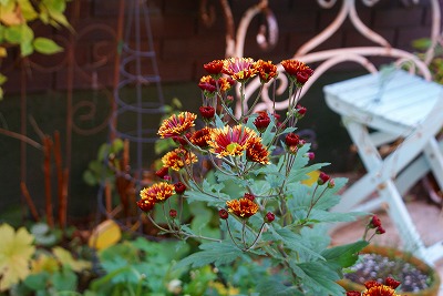 f0170524_2324742.jpg