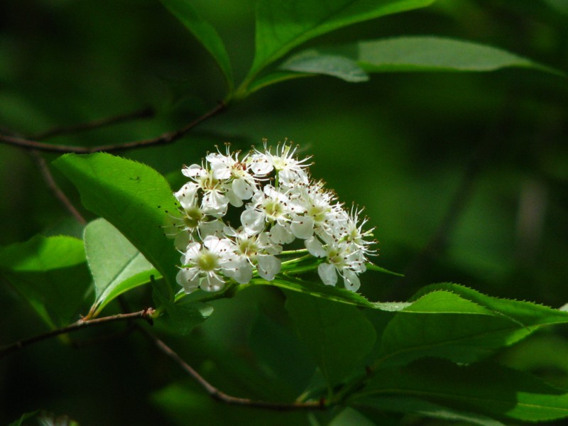 d0024426_16474927.jpg