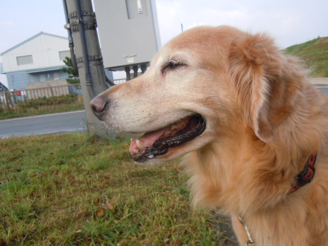 f0114128_1749363.jpg