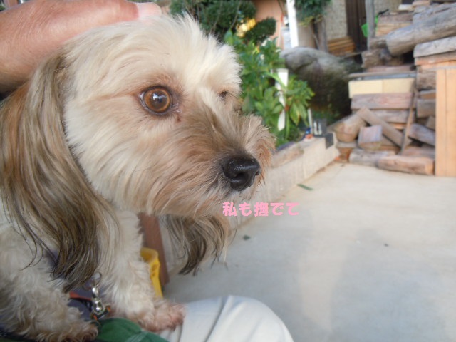 f0114128_1812491.jpg