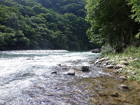 e0198329_11104883.jpg