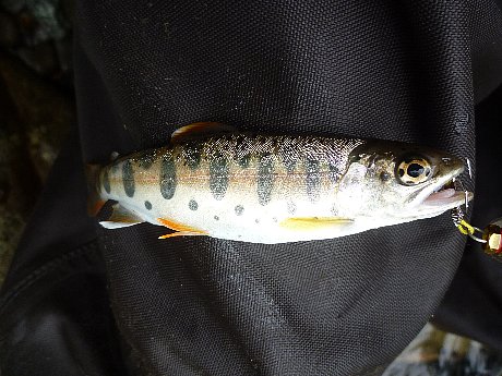 e0198329_11121182.jpg