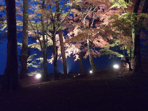f0304030_23254622.jpg