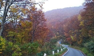 a0042731_23115992.jpg