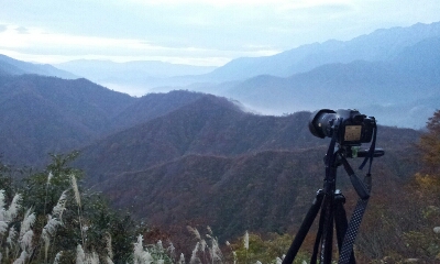 a0042731_239715.jpg