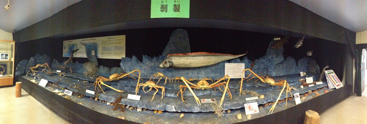 駿河湾深海生物館 Never Ending Journey 駿河湾深海生物館 Never Ending Journey