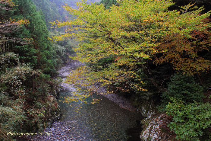 e0083238_924505.jpg