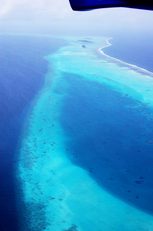 a0023740_1643346.jpg