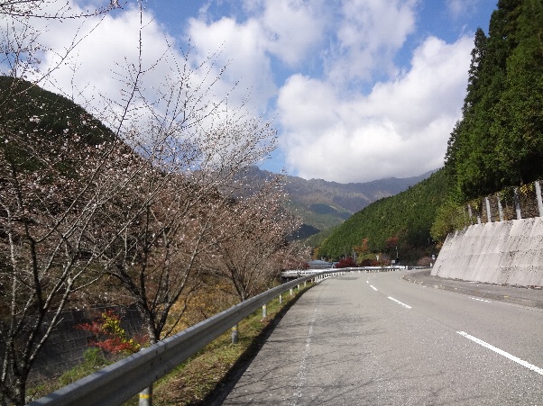 b0149340_2058920.jpg