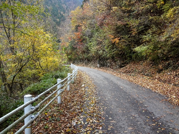 b0149340_2113248.jpg