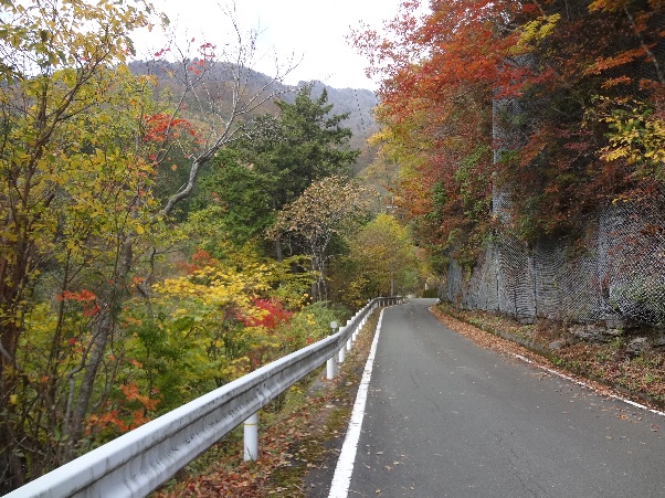 b0149340_2135481.jpg