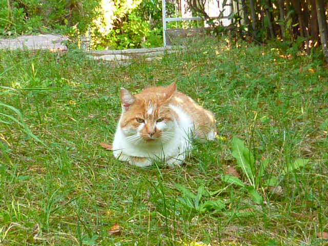 d0170140_212827.jpg