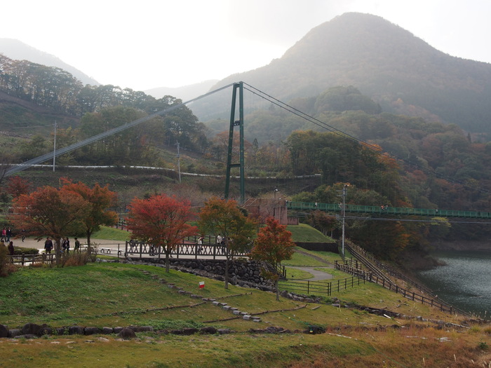 会津高原もみじ列車と天空の紅葉絨毯3日間Ⅰ_a0289242_20495453.jpg