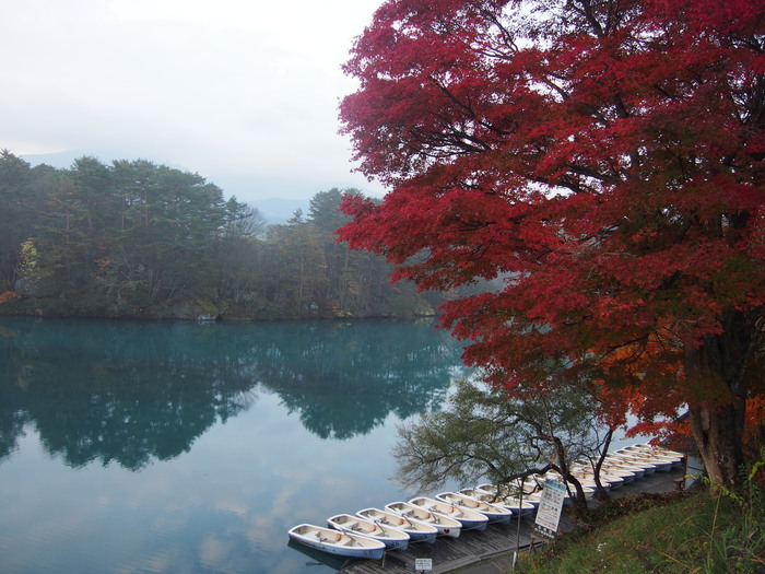 会津高原もみじ列車と天空の紅葉絨毯3日間Ⅰ_a0289242_21104514.jpg