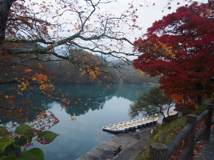 会津高原もみじ列車と天空の紅葉絨毯3日間Ⅰ_a0289242_217182.jpg