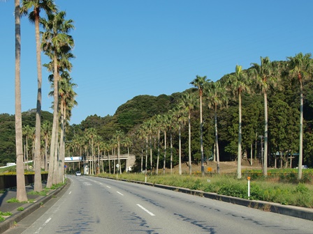 b0080342_2062556.jpg